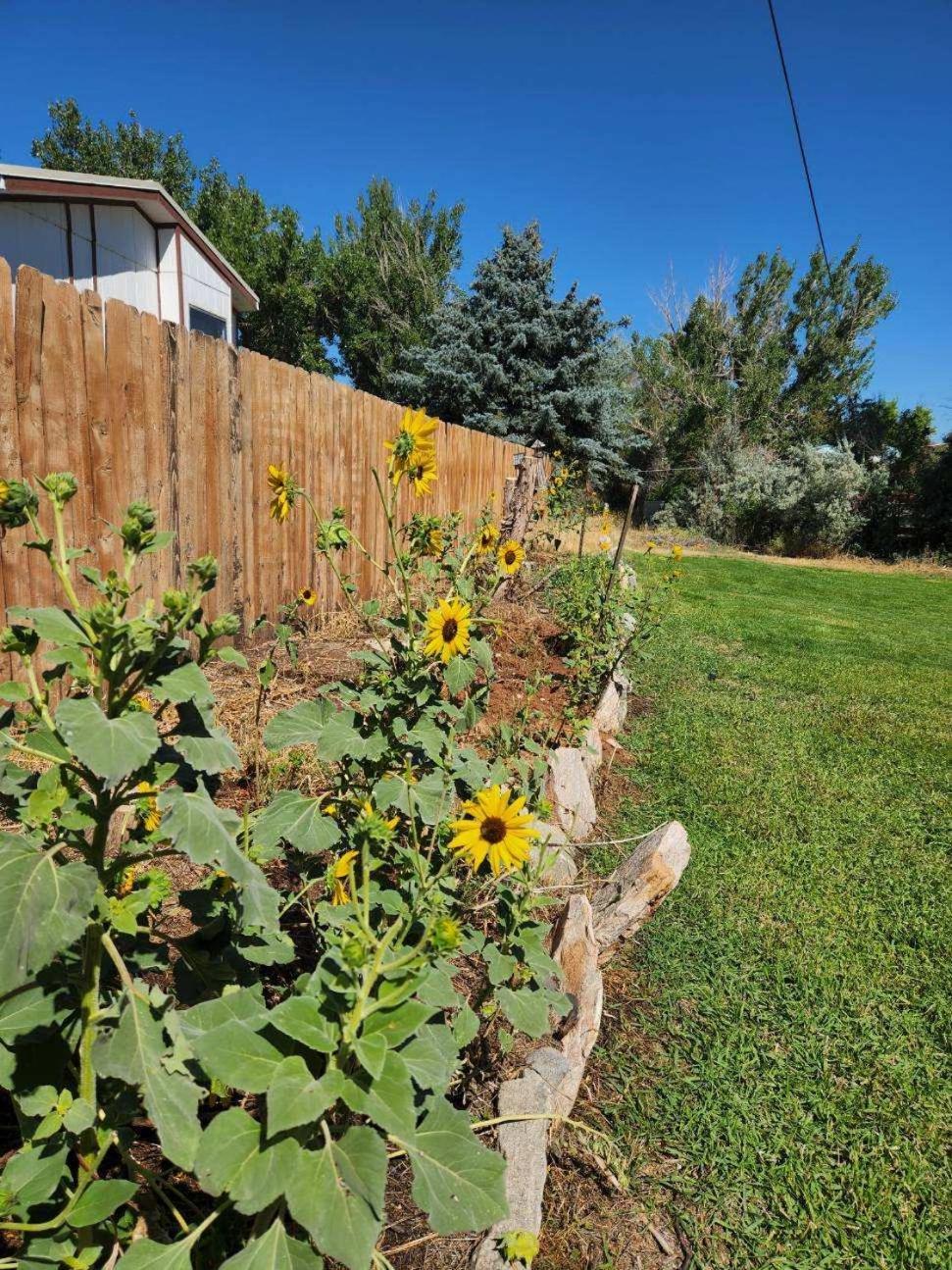 Let'S Go ! Fisherman, Families, Pools One Minute From Your Door, Comfort, Location Perfect, Amenity-Rich, Pup Friendly, Discover An Exceptional Wyoming Stay, Thermopolis River Walk Home At Hot Springs State Park, 'Where Families And Fisherman Stay' Exterior foto